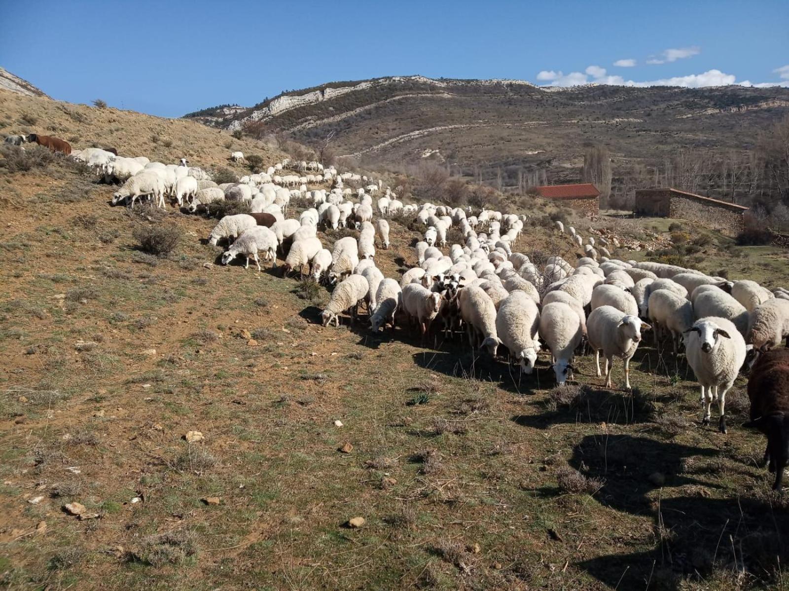Casa Rural Chulilla Villarroya de los Pinares Dış mekan fotoğraf