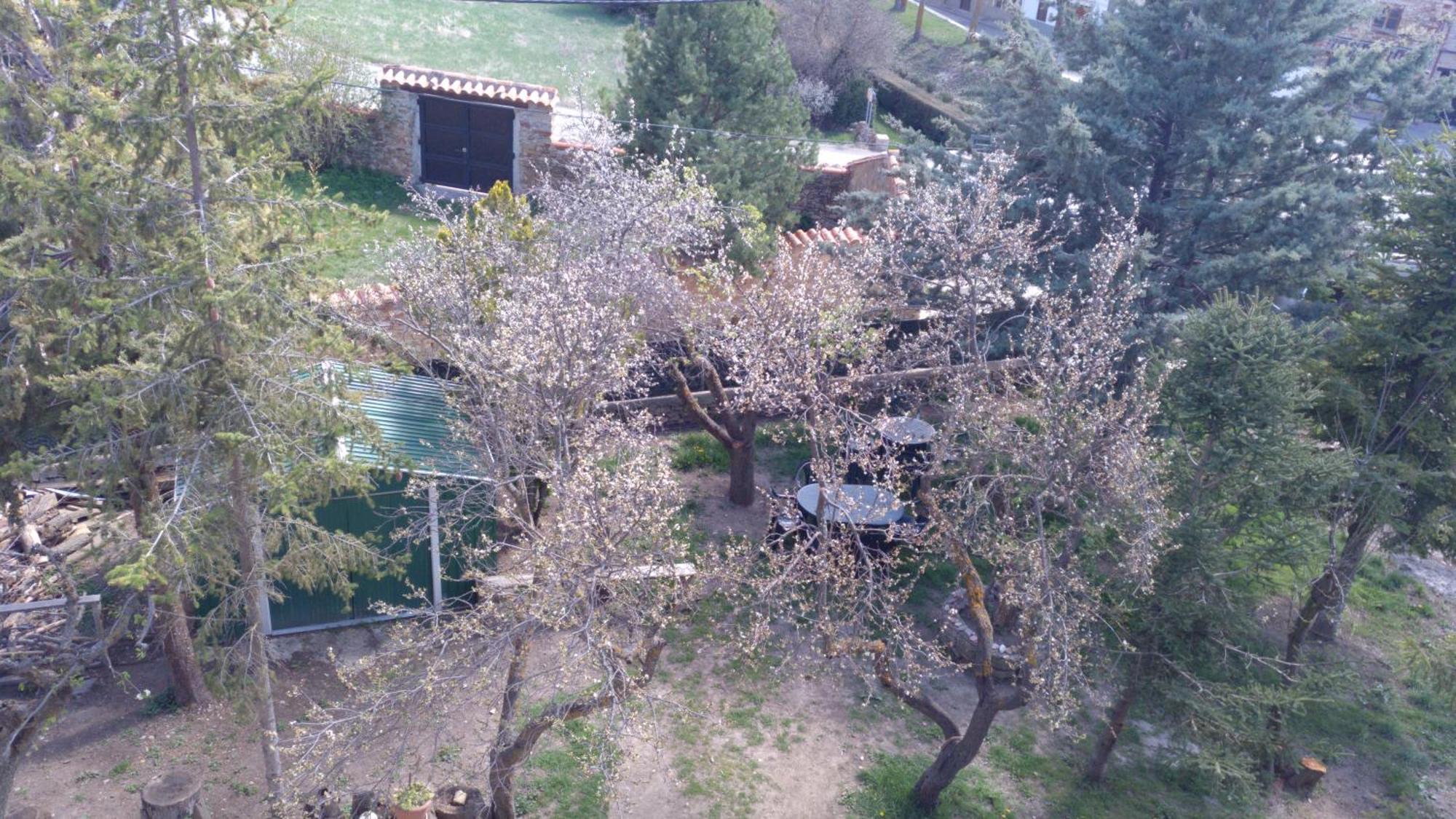 Casa Rural Chulilla Villarroya de los Pinares Dış mekan fotoğraf