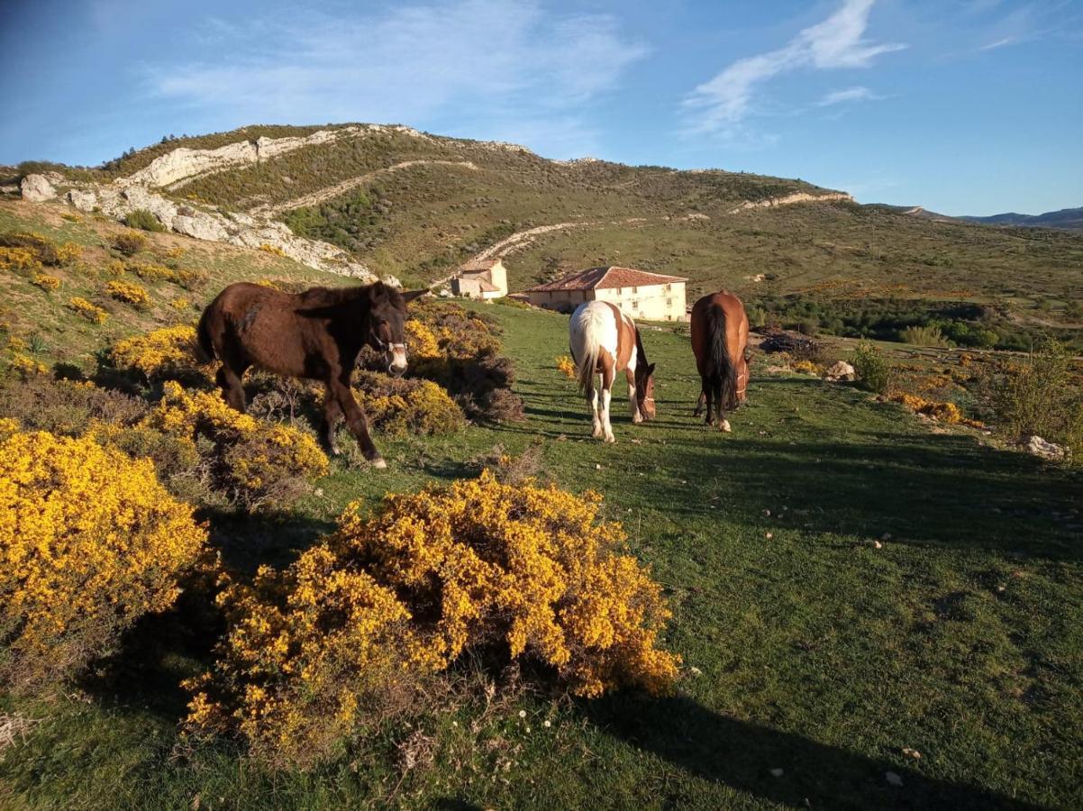 Casa Rural Chulilla Villarroya de los Pinares Dış mekan fotoğraf