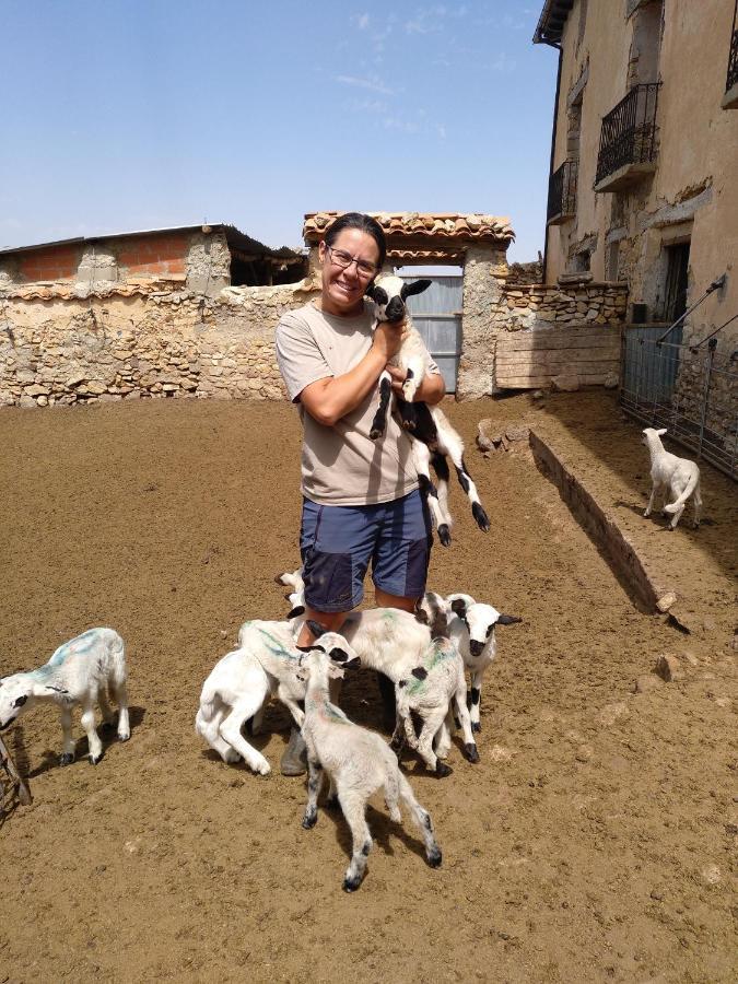 Casa Rural Chulilla Villarroya de los Pinares Dış mekan fotoğraf